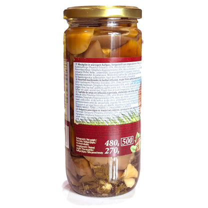 Premium Assorted Mushrooms 480g