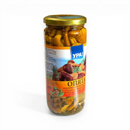 Premium Honey Mushrooms 'Opyata' 480g