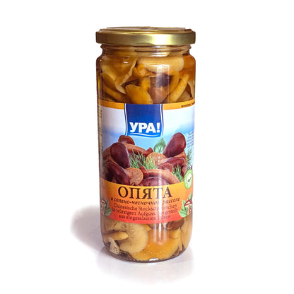 Premium Honey Mushrooms 'Opyata' 480g