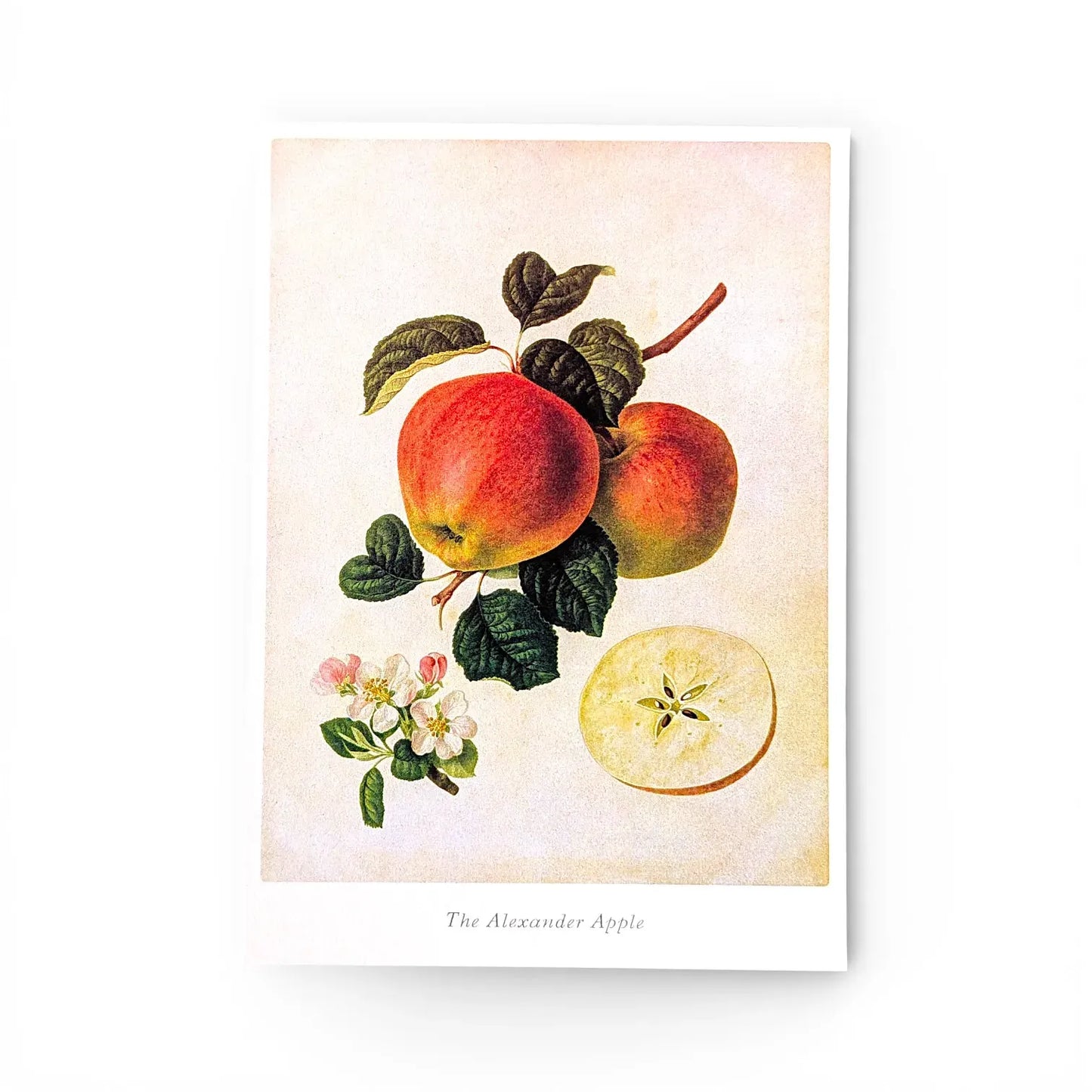 Russian Folklore Postcards Decorated 18 cm